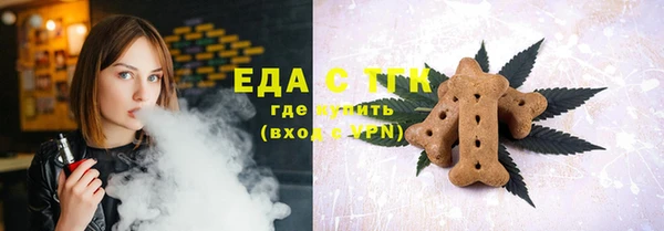 дмт Богородицк
