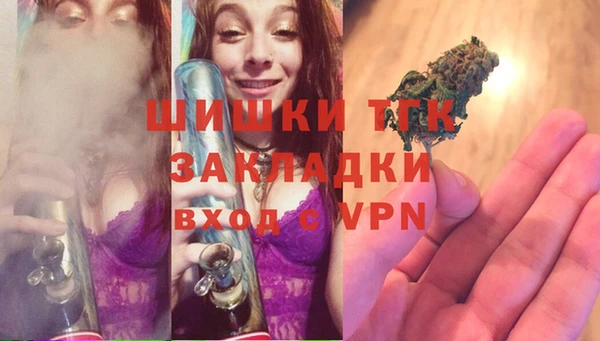 дмт Богородицк