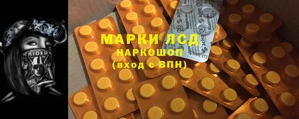 гашик Бородино