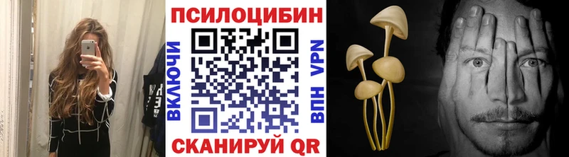 Псилоцибиновые грибы прущие грибы  Бутурлиновка 