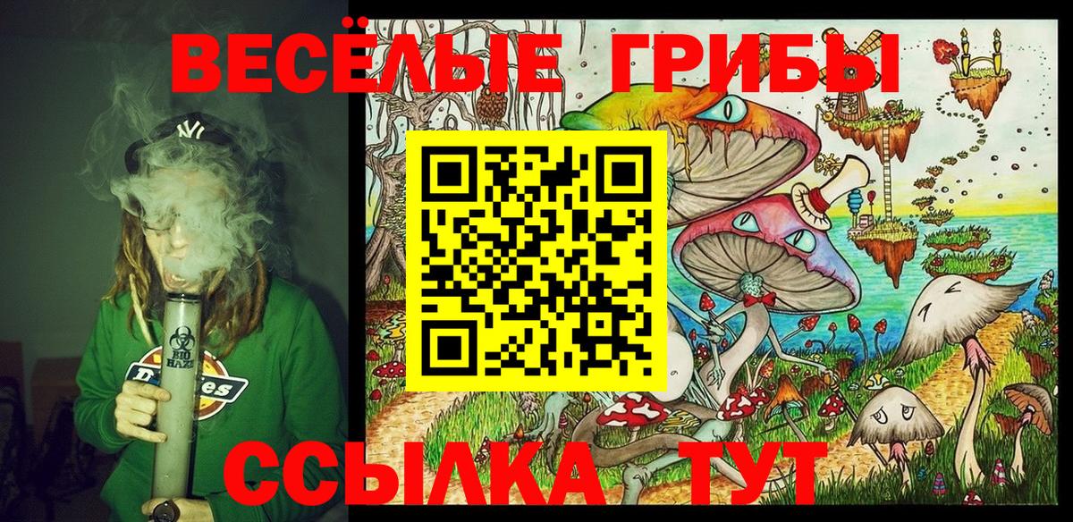 Галлюциногенные грибы MAGIC MUSHROOMS Бутурлиновка