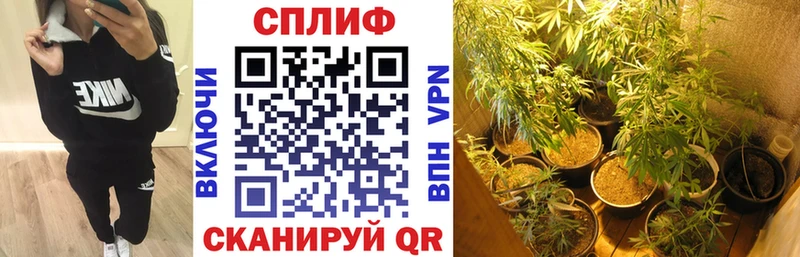 наркошоп  Бутурлиновка  Канабис семена 